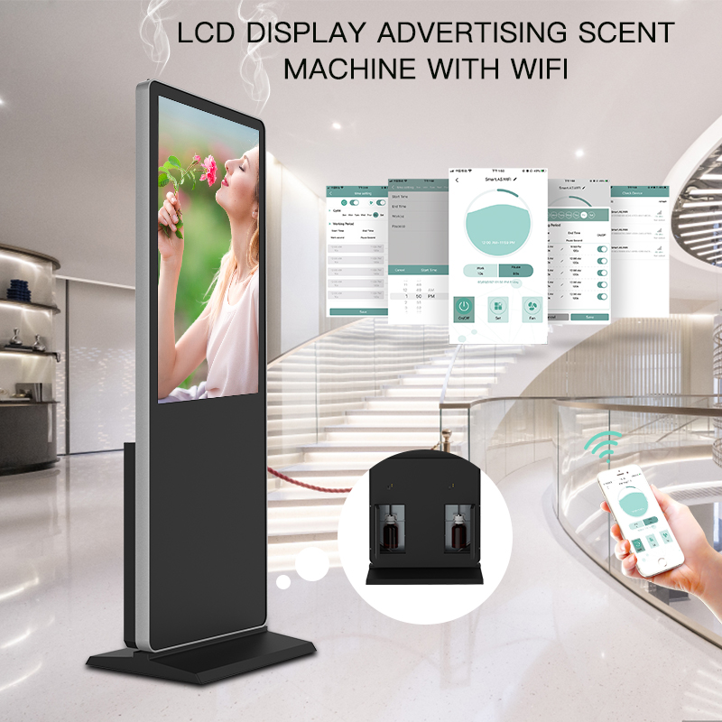 Aksuccess Pure Essentials