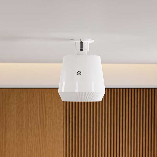 Aksuccess Pure Essentials