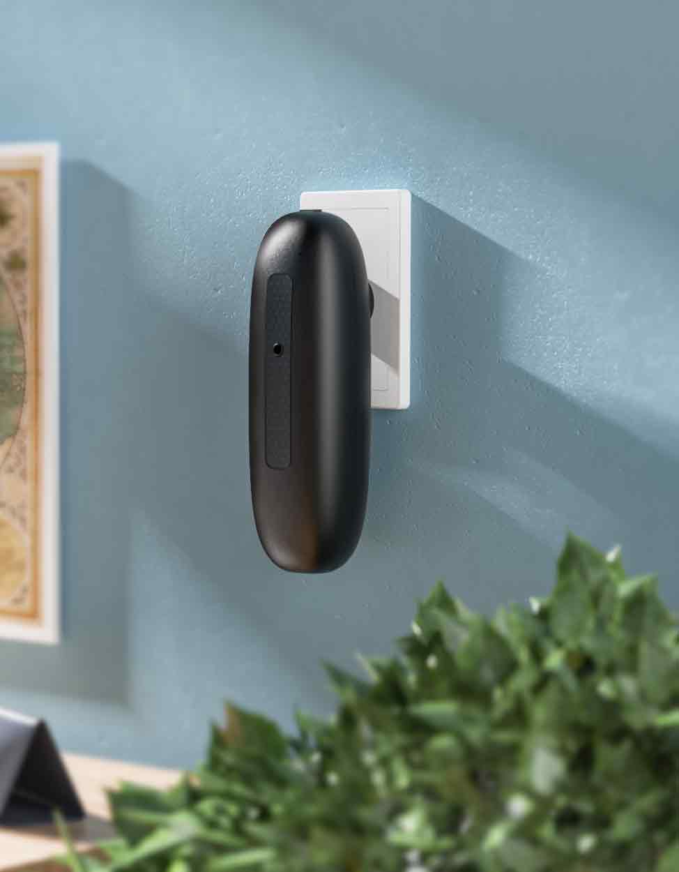 Aksuccess Pure Essentials